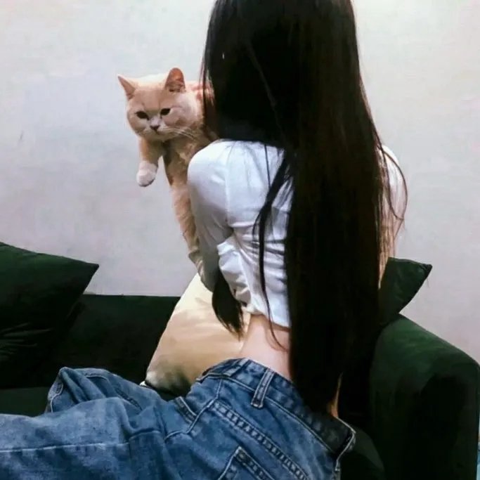 三狼奇案